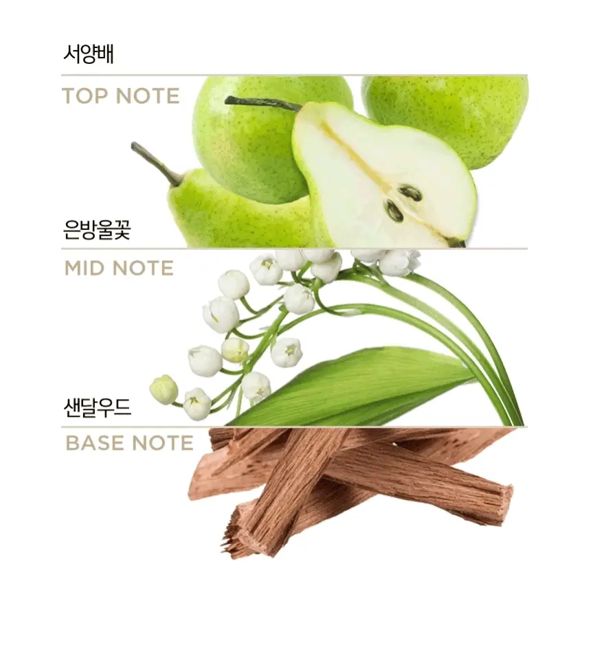 [단품]팬틴 극손상케어/실키스무스 트리트먼트 단품 220mL 상세페이지 6